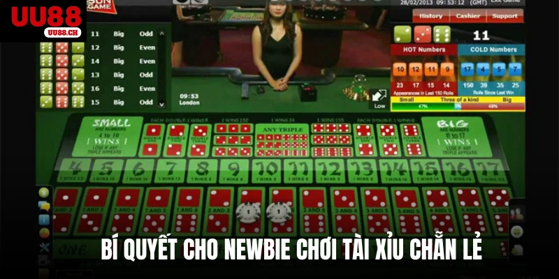 Bí quyết cho newbie chơi Tài xỉu chẵn lẻ