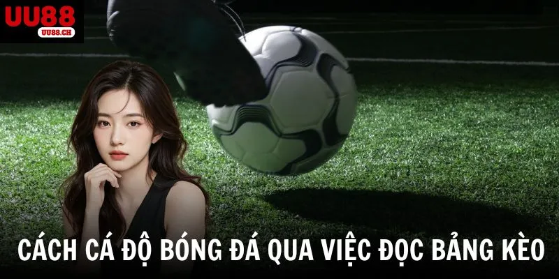 Cách cá độ bóng đá không thua thông qua việc đọc bảng kèo 