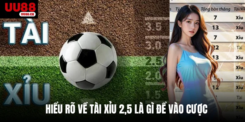 Hiểu rõ về Tài xỉu 2,5 là gì để vào cược 