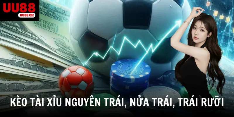 Phân loại kèo tài xỉu và cách đọc đúng từng mốc