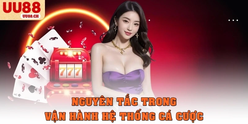 Nguyên tắc trong vận hành hệ thống cá cược